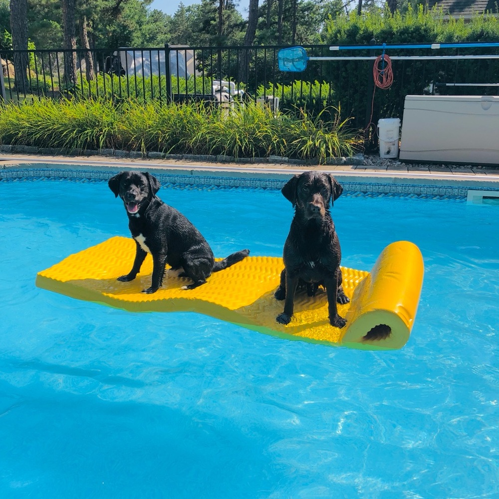 Meet your Posher, Megan